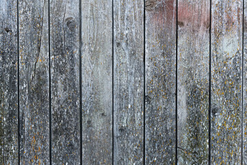 Background of old rotten wood