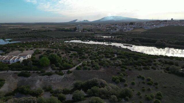 Flamingos flying towards Fuente de Piedra town in Andalusia, Spain