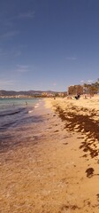 The beach in Palma de Mallorca is a sun-soaked paradise, where golden sands stretch along the crystal-clear waters of the Mediterranean Sea. This idyllic coastal escape is characterized by its invitin