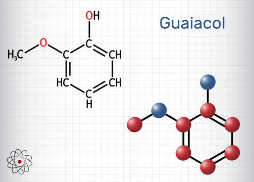 Guaiacol molecule. It is expectorant, disinfectant, plant metabolite. Present in wood smoke. Structural chemical formula, molecule model. Sheet of paper in a cage