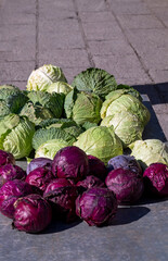 Red cabbage one slice isolated on white background. Clipping Path.