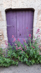 Ancienne porte de bâtiment agricole  fleurie