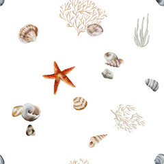 shell water breeze ocean life watercolour frame wall art clip art sea star fossil paradise sand vocation decoration coral 