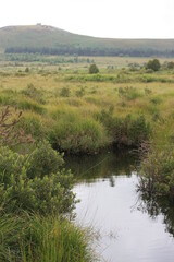 Le marais du Yeun Elez et le Mont Saint-Michel de Brasparts à l'arrière-plan; dans les Monts d'Arrée (Bretagne, Finistère, France)