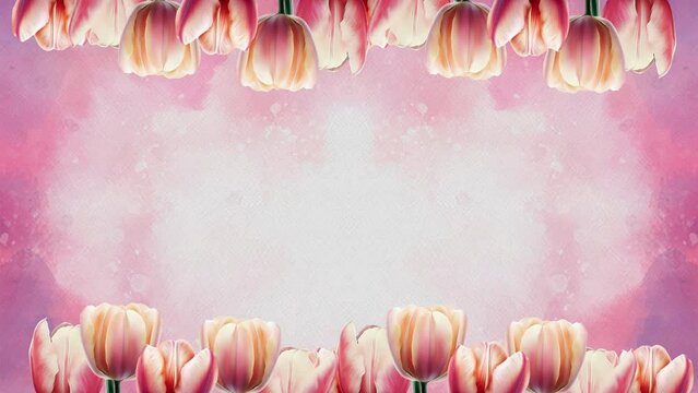 Watercolor beautiful tulip floral background overlay bloom animation of colorful flowers banner. Animated 4K blooming tulip flowers background  