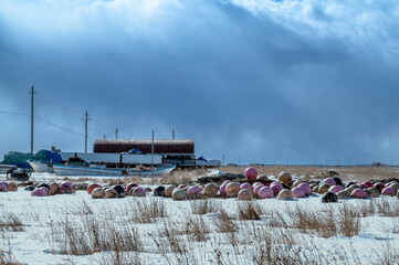 北海道、野付半島の海岸で草原と雪の中、浮き球が見れる景色