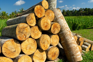 The pile of firewood in the field, close up. Natural background.