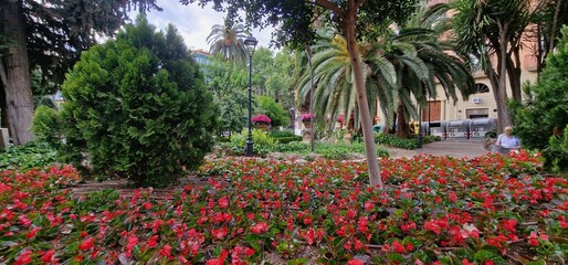 Obraz premium streets of palma de mallorca wonderfull mediterranean cisy in the island of spain