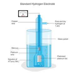 A Standard Hydrogen Electrode (SHE) is an electrode that scientists use as a reference electrode with potential zero.Standard hydrogen electrode diagram. Scientific vector illustration.