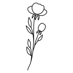 hand drawn flower