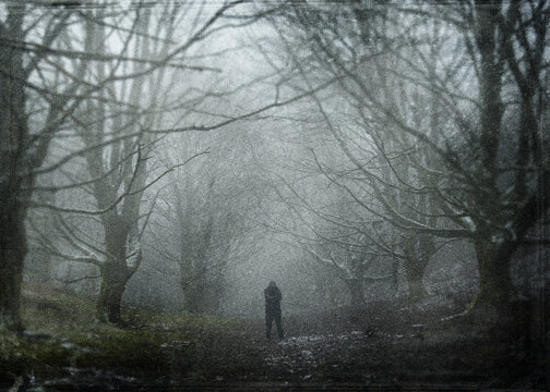 A mysterious hooded figure. Silhouetted and standing on a path in a forest. On a spooky, foggy, winters day. With a grunge, vintage edit.