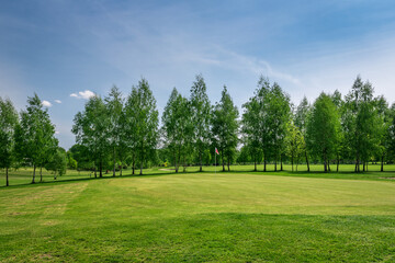 Obraz premium Golf course located in Bazantarnia Park in Siemianowice, Silesia, Poland. Perfectly cutted lawn surrounded by green, fresh trees. Row of the birch trees with fresh leaves. Golf as an outdoor activity.