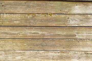 Obraz premium Background, texture wall sheathed with wooden planks