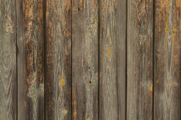 old wood texture