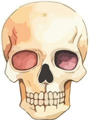 Beige Watercolor skull with stroke
