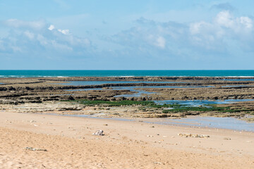 Ile d’Oléron (Charente-Maritime, France). La plage des Sables Vigniers à Saint-Georges - 602974226