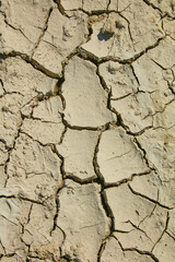 dry cracked ground