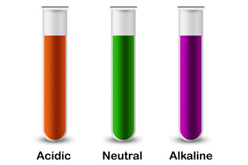 Litmus color in acid, alkali and neutral pH