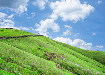 Fototapeta na wymiar Wugong Mountain, Pingxiang, China, alpine green meadow scenery