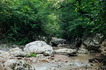 Naklejka na ściany i meble river between stones in the forest travel hike