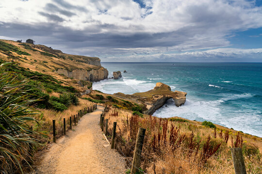 Hiking Trail to the Tunnel Beach, Dunedin, New Zealand
