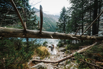 The bride and groom near the lake in the mountains. A couple together against the backdrop of a...