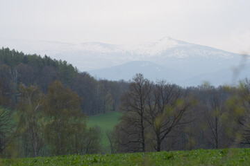 krajobraz górski w czasie wiosny