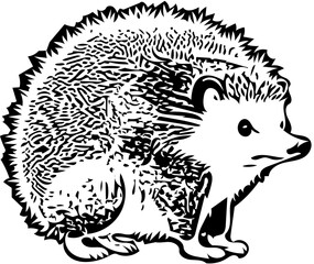 Illustration of a hedgehog | vector illustration of a hedgehog  | black and white Silhouette