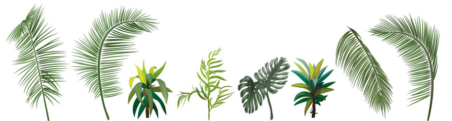Border with tropical plants. Set of green leaves from coconut palm, monstera, bamboo palm, dracaena on white background. Panoramic view, realistic vector botanical illustration in watercolor style