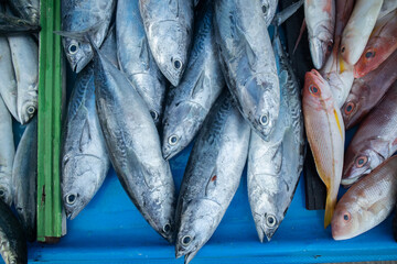 Obraz premium Piles of fresh fish caught by fishermen are sold in traditional markets