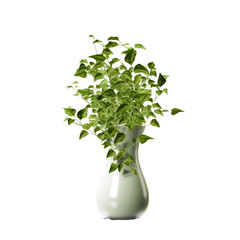 Vase with Plant on Transparent Background - Generative AI Illustration