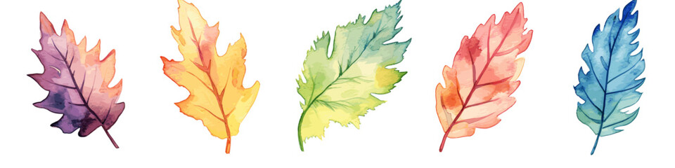 Watercolor Leaf Collection Vector Illustrations of Colorful and Organic Foliage