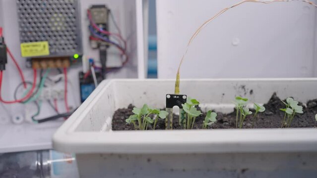 Hand of man is stitching a soil moisture sensor to determine soil moisture controlling it with an arduino microcontroller. Agricultural technology. 5G wireless technology.