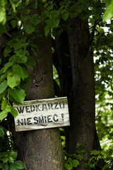 Tablica informacyjna © Bartosz