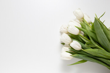 bouquet of white tulips on a white background