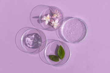 Facial serum or gel with hyaluronic acid, flower and leaves in Petri dishes on a lilac background. Concept of cosmetics laboratory researches, wellness, beauty and natural cosmetics.