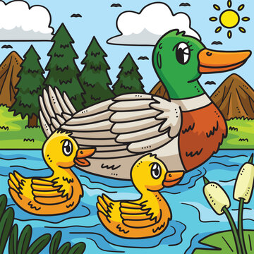 Mother Duck and Duckling Colored Cartoon 