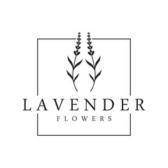 Hand drawn organic lavender flower logo template design.Logo for cosmetic, beauty,tea,oil,herb.