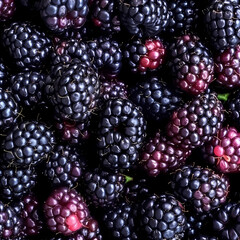 Beautiful blackberry texture for vitamin background