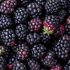 Blackberry seamless for tasty food background