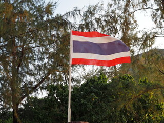 The Thailand national flag flutters on white wooden pole and the background is a green pine. The national flag has 5 rows (3 colors): 2 red rows on the edge, 1 blue (middle) and 2 white rows.
