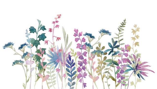 Beautiful floral composition with hand drawn watercolor wild herbs and flowers. Stock illustration.