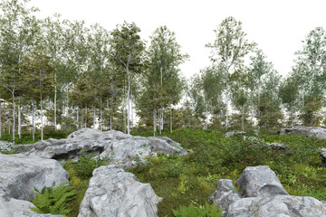 Realistic forest floor and trees. 3d rendering of isolated objects.