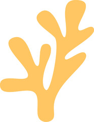 Seaweed Marine Plant