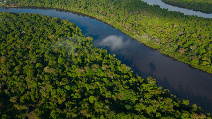 AMAZON RIVERS IN THE PERUVIAN JUNGLE, THEY CLEARLY SHOW THE MEANDERS, THE AMAZON AND THE NANAY ARE...