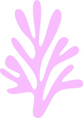 Obraz premium Seaweed Marine Plant