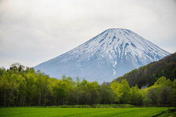 Fototapeta premium mountain