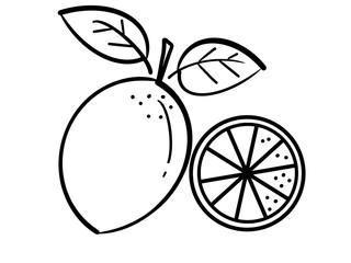 Lemon. Useful fruit and vitamins. Black line drawing. Use as shop logo. on a white background.