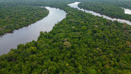 AMAZON RIVERS IN THE PERUVIAN JUNGLE, THEY CLEARLY SHOW THE MEANDERS, THE AMAZON AND THE NANAY ARE...