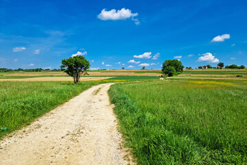 Fototapeta na wymiar Country road in Kalnik agricultural landscape